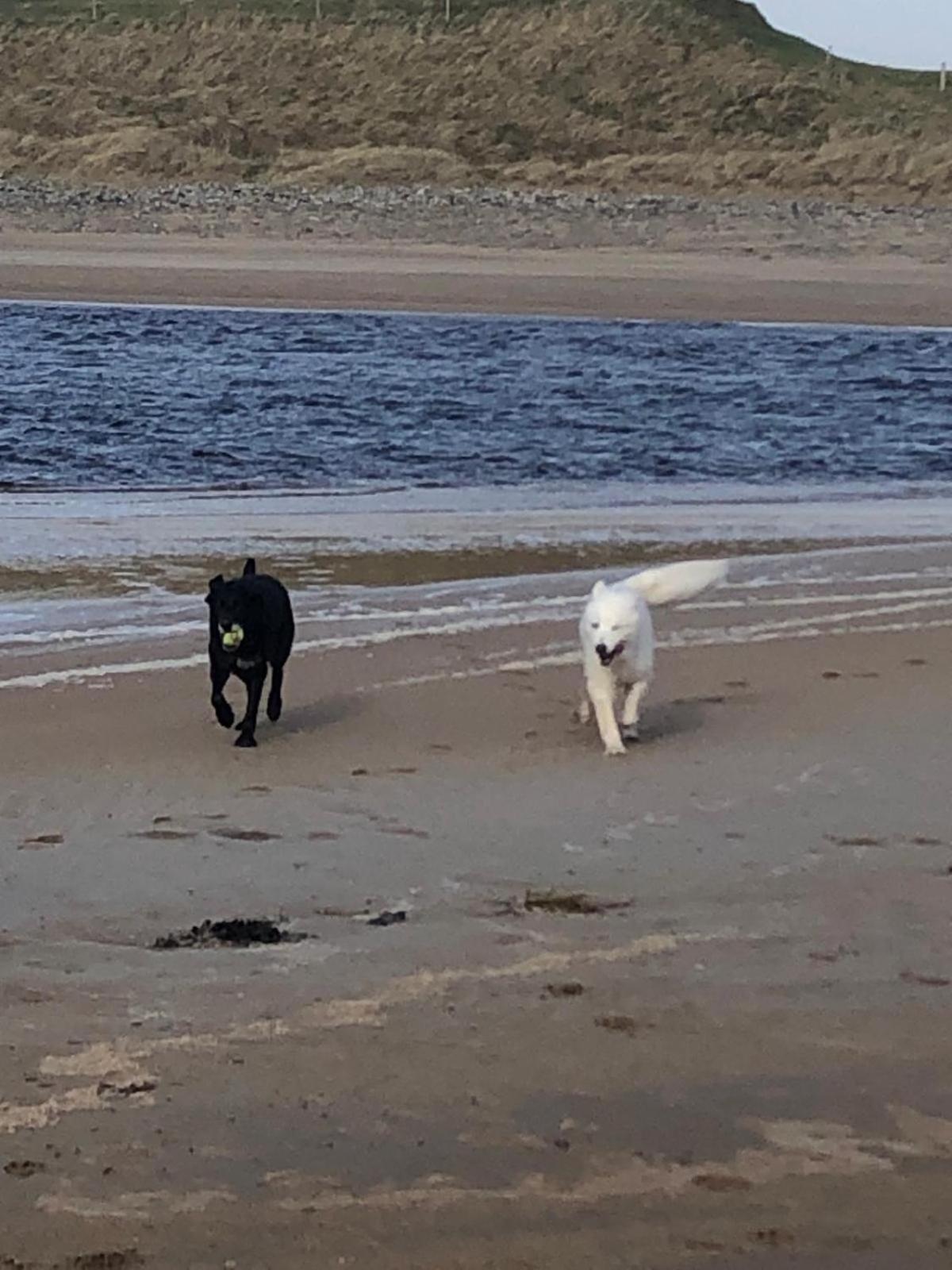 Pensjonat Suaimhneas Lahinch Zewnętrze zdjęcie